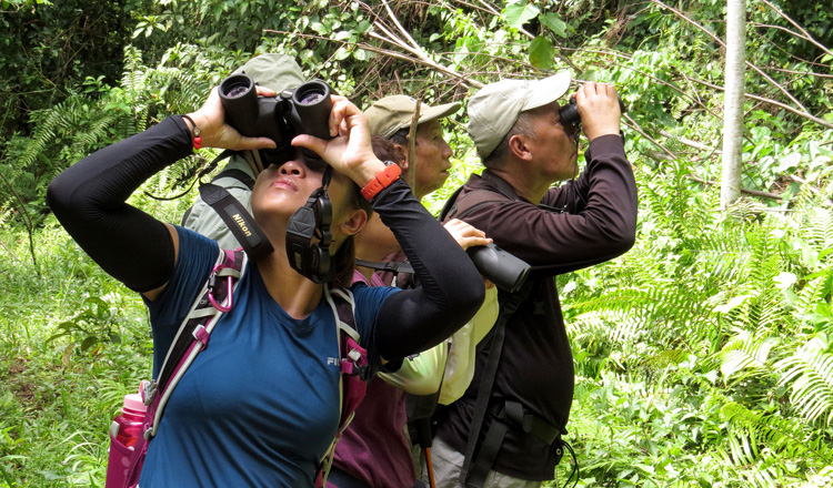 Bird-Watching Adventures Await