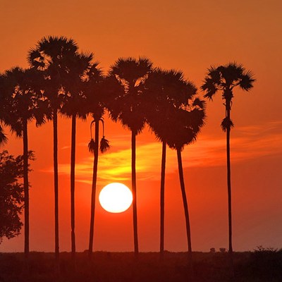 Kampong Cham8