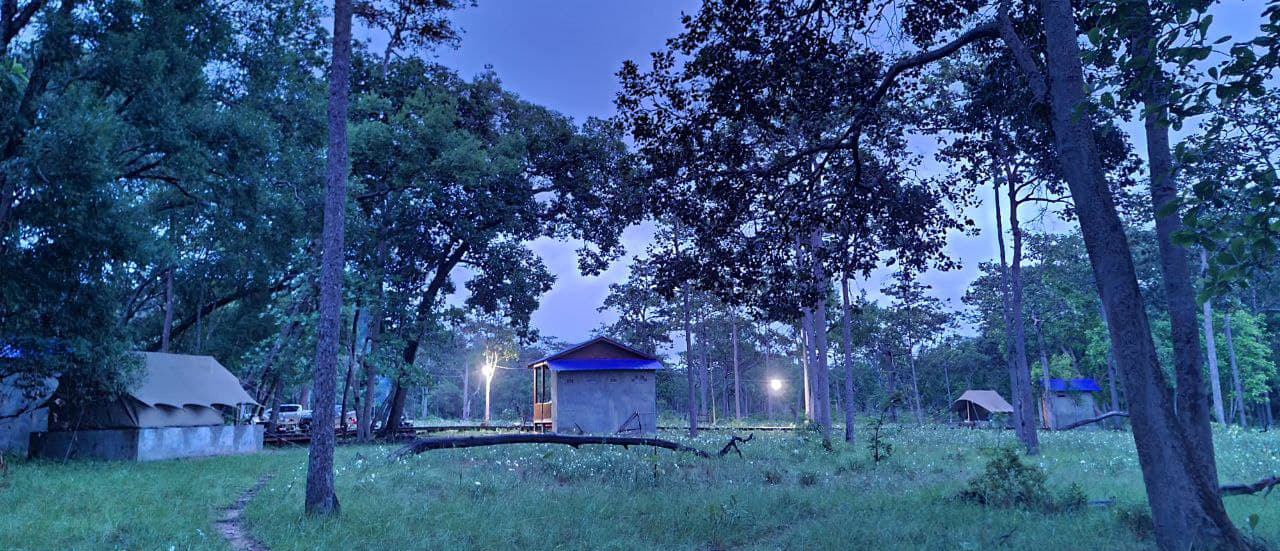 an interview with Conservation International