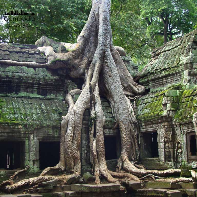 Cambodia